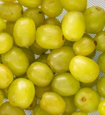 Uva verde